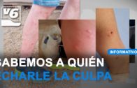 EDITORIAL | Una plaga de mosquitos podría acribillarnos este verano en Albacete
