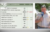 Precios actualizados de la lonja agropecuaria de Albacete – 21 de junio de 2024