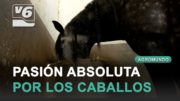 AGROMUNDO | Pasión por el caballo en el centro ecuestre El Cortijo