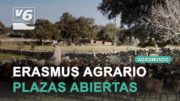 Los agricultores también se van de Erasmus