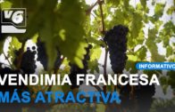 Miles de albaceteños vuelven ya de la ‘Vendimia Francesa’