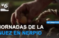 Nueva jornada sobre la nuez de Nerpio el próximo 9 de agosto