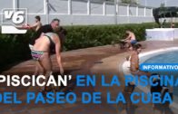 Piscican este domingo en la piscina del Paseo de la Cuba