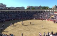 FERIA | Vaquillas en la plaza de toros 15 de septiembre