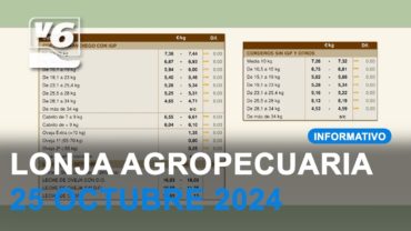 Lonja agropecuaria de Albacete – 25 octubre 2024