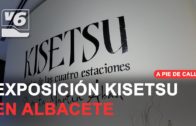 APDC | ‘Kisetsu. El color de las cuatro estaciones’ exposión de la artista Paquita Martin