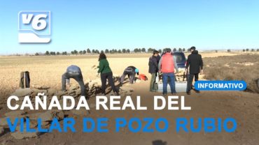 Más de cuatrocientos árboles se plantaron en la cañada real del Villar de Pozo Rubio