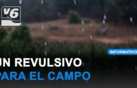 Lluvia como agua bendita para los agricultores y ganaderos de Albacete