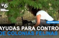 El Albacete Balompié calienta motores en la Ciudad Deportiva