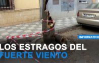 EDITORIAL | Baja la ocupación ilegal en todo el país… pero no así en Albacete