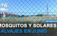 Operación antidroga a gran escala en dos barrios de Albacete con varios detenidos