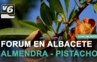 AGROMUNDO #7 | Programa completo