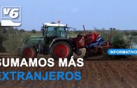 Frente común en #Albacete para proteger al sector cuchillero