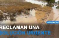 Una ventanilla única para facilitar la vida a los feriantes y hosteleros