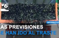 Operación antidroga a gran escala en dos barrios de Albacete con varios detenidos
