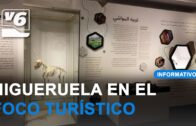 Operación antidroga a gran escala en dos barrios de Albacete con varios detenidos