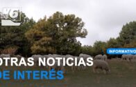 La temporada de verano de las piscinas municipales se inaugura el 13 de junio