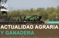 AGROMUNDO | Altos costes de producción y bajos precios marcan la campaña del cereal