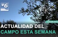 Campaña del ajo y actualidad del campo en Agromundo #1