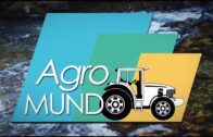 AGROMUNDO | Actualidad del campo en Albacete y Castilla-La Mancha