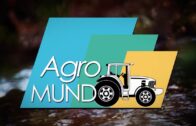 AGROMUNDO | Altos costes de producción y bajos precios marcan la campaña del cereal