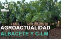 #8 AGROMUNDO | Programa completo