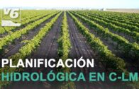 Maquinaria que revoluciona el trabajo en el campo