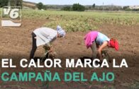 Maquinaria que revoluciona el trabajo en el campo