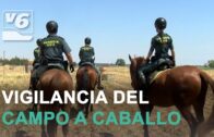 Maquinaria que revoluciona el trabajo en el campo