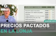 Campaña del ajo y actualidad del campo en Agromundo #1