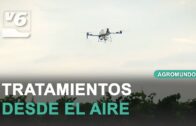 AGROMUNDO | La Guardia Civil vigila el campo albaceteño a caballo