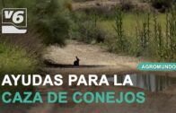 AGROMUNDO | Altos costes de producción y bajos precios marcan la campaña del cereal