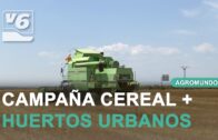 Campaña del ajo y actualidad del campo en Agromundo #1