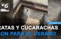 Los incendios evidencian la extrema vulnerabilidad de nuestros montes