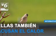 BREVES | Llegan mejoras a este parque en el centro de Hellín