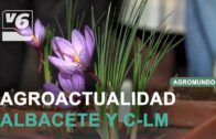 AGROMUNDO | Actualidad del sector esta semana #13 agosto