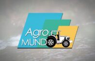 AGROMUNDO | Actualidad del sector esta semana #13 agosto