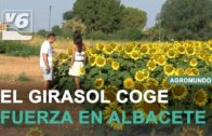 AGROMUNDO | Actualidad del sector esta semana #13 agosto