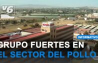 EDITORIAL | Una exposición con un final por los suelos en pleno Paseo de la Libertad