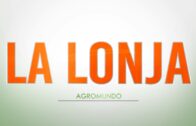 AGROMUNDO | Actualidad del sector esta semana #13 agosto