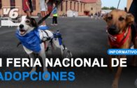 Charla sobre VMP en el Colegio Cristóbal Colón impartida por la Policía Local de Albacete