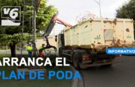 El plan municipal de poda actuará sobre 470 calles de Albacete y pedanías