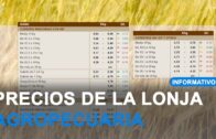 El plan municipal de poda actuará sobre 470 calles de Albacete y pedanías