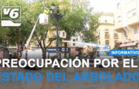 Yeste regresará al pasado con la XXVII Feria de Tradiciones Populares